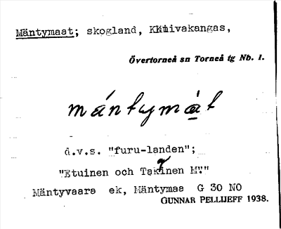 Bild på arkivkortet för arkivposten Mäntymaat