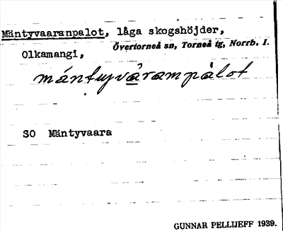 Bild på arkivkortet för arkivposten Mäntyvaaranpalot