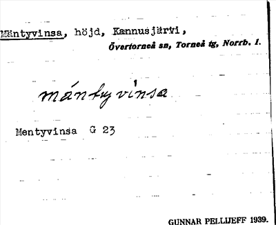 Bild på arkivkortet för arkivposten Mäntyvinsa