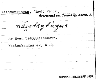 Bild på arkivkortet för arkivposten Neistenkangas