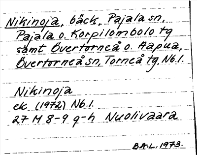 Bild på arkivkortet för arkivposten Nikinoja