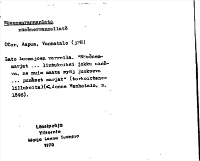 Bild på arkivkortet för arkivposten Näsenenrannanlato