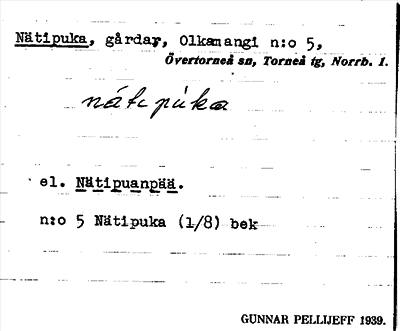 Bild på arkivkortet för arkivposten Nätipuka