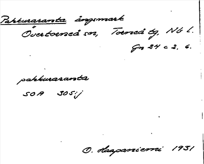 Bild på arkivkortet för arkivposten Pahkuraranta