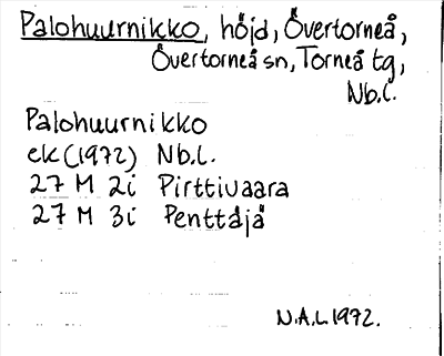 Bild på arkivkortet för arkivposten Palohuurnikko