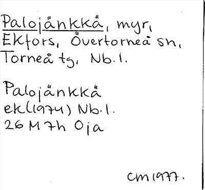 Bild på arkivkortet för arkivposten Palojänkkä