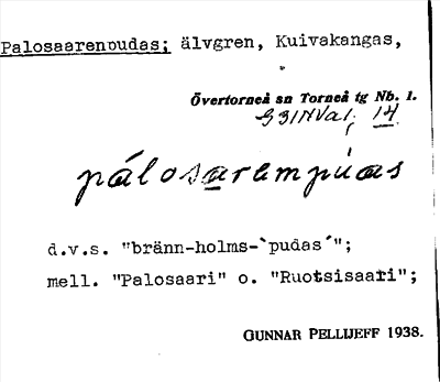 Bild på arkivkortet för arkivposten Palosaarenoudas