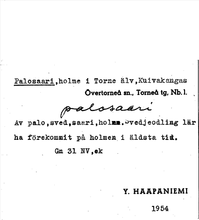 Bild på arkivkortet för arkivposten Palosaari