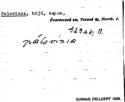 Bild på arkivkortet för arkivposten Palovinsa