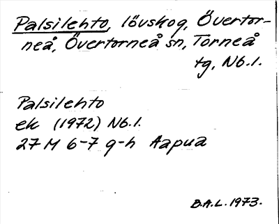 Bild på arkivkortet för arkivposten Palsilehto