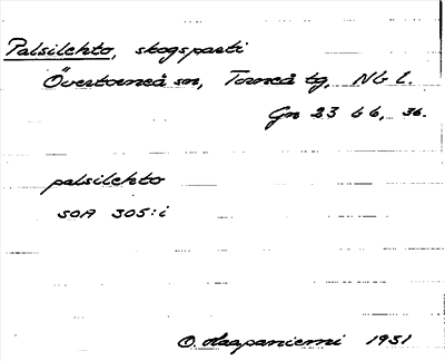 Bild på arkivkortet för arkivposten Palsilehto