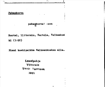Bild på arkivkortet för arkivposten Pekankorva