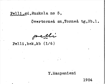 Bild på arkivkortet för arkivposten Pelli