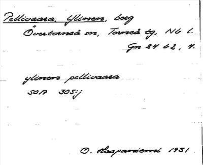 Bild på arkivkortet för arkivposten Pellivaara, Ylinen