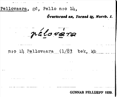Bild på arkivkortet för arkivposten Pellovaara