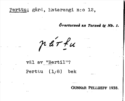 Bild på arkivkortet för arkivposten Perttu