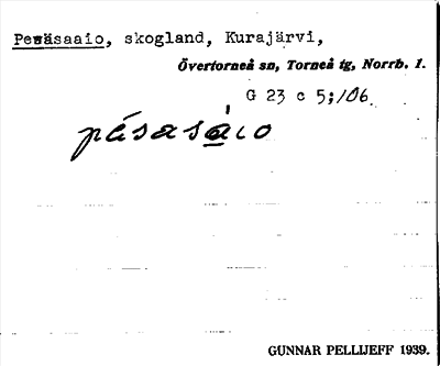 Bild på arkivkortet för arkivposten Pesäsaaio