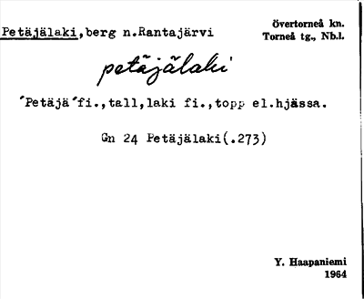 Bild på arkivkortet för arkivposten Petäjälaki