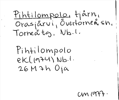 Bild på arkivkortet för arkivposten Pihtilompolo