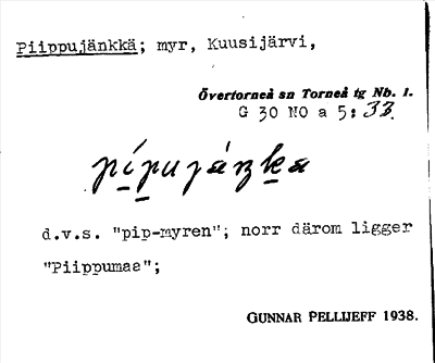 Bild på arkivkortet för arkivposten Piippujänkkä