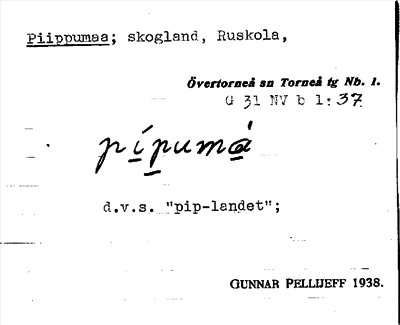 Bild på arkivkortet för arkivposten Piippumaa