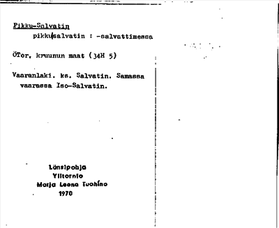 Bild på arkivkortet för arkivposten Pikku-Salvatin