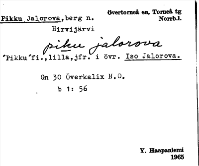 Bild på arkivkortet för arkivposten Pikku Jalorova