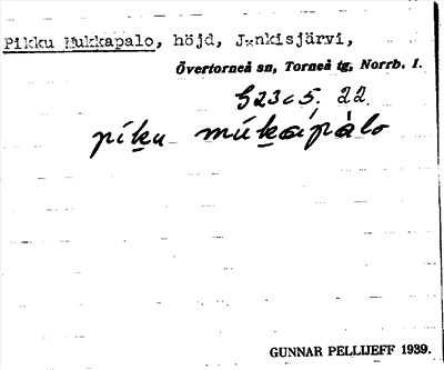 Bild på arkivkortet för arkivposten Pikku Mukkapalo