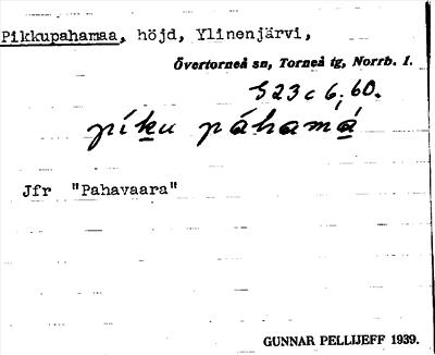 Bild på arkivkortet för arkivposten Pikkupahamaa