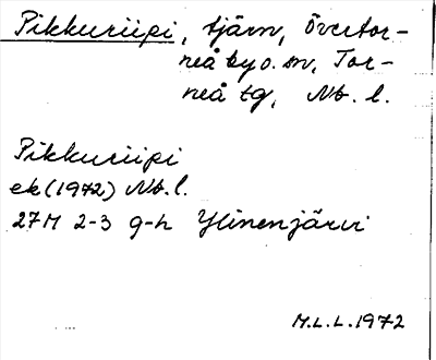 Bild på arkivkortet för arkivposten Pikkuriipi