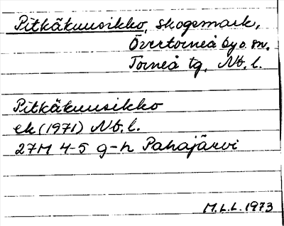 Bild på arkivkortet för arkivposten Pitkäkuusikko
