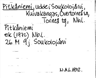 Bild på arkivkortet för arkivposten Pitkäniemi