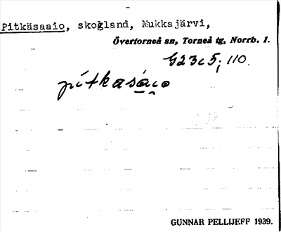 Bild på arkivkortet för arkivposten Pitkäsaaio