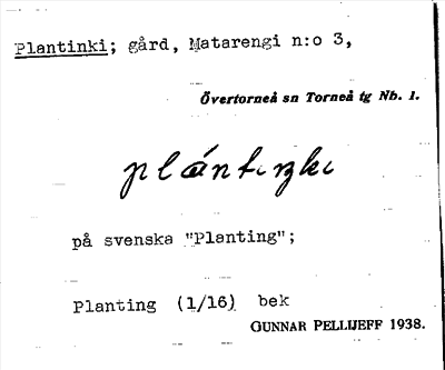 Bild på arkivkortet för arkivposten Plantinki