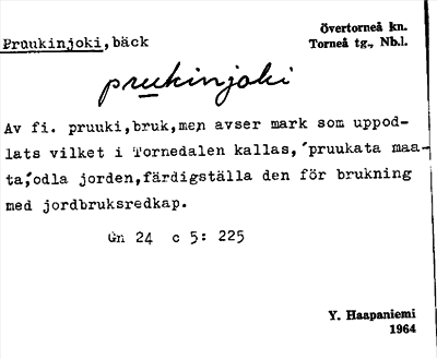 Bild på arkivkortet för arkivposten Pruukinjoki