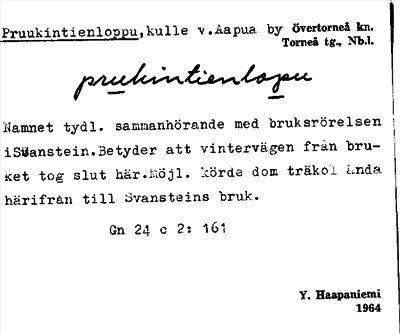Bild på arkivkortet för arkivposten Pruukintienloppu