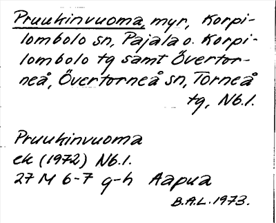 Bild på arkivkortet för arkivposten Pruukinvuoma