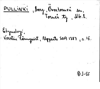 Bild på arkivkortet för arkivposten Pullinki