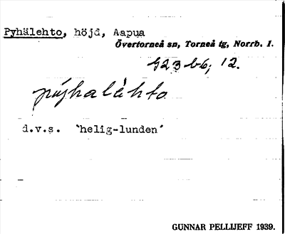 Bild på arkivkortet för arkivposten Pyhälehto
