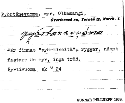 Bild på arkivkortet för arkivposten Pyörtänevuoma