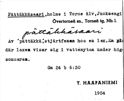 Bild på arkivkortet för arkivposten Pättälläsaari