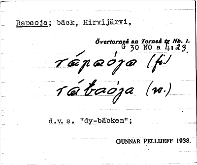 Bild på arkivkortet för arkivposten Rapaoja