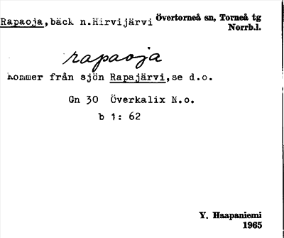 Bild på arkivkortet för arkivposten Rapaoja