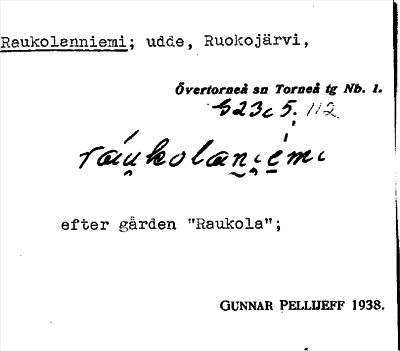 Bild på arkivkortet för arkivposten Raukolanniemi