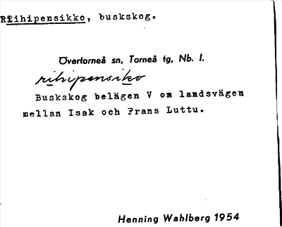 Bild på arkivkortet för arkivposten Riihipensikko
