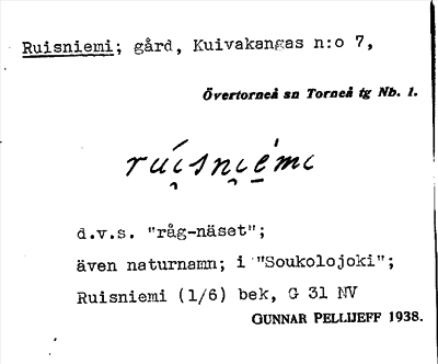 Bild på arkivkortet för arkivposten Ruisniemi