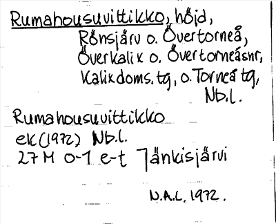 Bild på arkivkortet för arkivposten Rumahousuvittikko