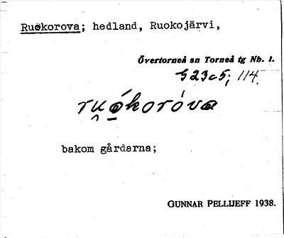 Bild på arkivkortet för arkivposten Ruokorova