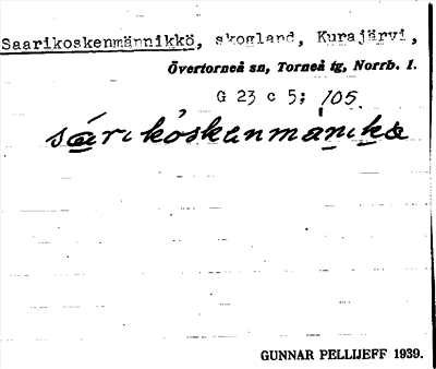 Bild på arkivkortet för arkivposten Saarikoskenmännikkö