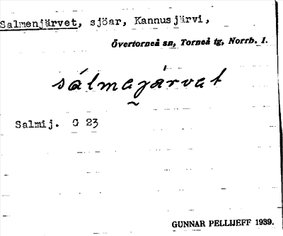 Bild på arkivkortet för arkivposten Salmenjärvet